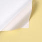 Creamy Yellow + White