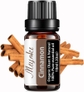 10ml 1pack Cinnamon