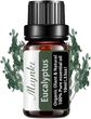 10ml 1pack Eucalyptus