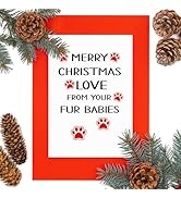 Dog And Cat Christmas Cards, Christmas Cards Cat, Cat Christmas Cards, Christmas Cards Cats, Cat ...