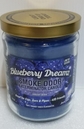 Blueberry Dreamz