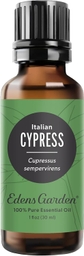 CypressItalian