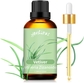 Vetiver