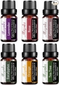 10ml 6pack Rose,lavender,eucalyptus,orange,geranium,tea Tree