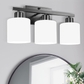 3-Light Black Vanity Lights