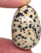 Dalmation Jasper