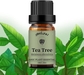 Tea Tree