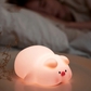 Pig Night Light