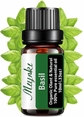 10ml 1pack Basil