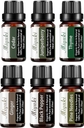 10ml 6pack Cedar,ginger,black Pepper,pine Needles,juniper Berry,thyme