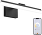 Black- Remote-2 Color Temperature & Dimmable