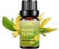 Ylang Ylang-10ml