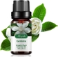 10ml 1pack Gardenia