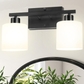 2-Light Black Vanity Lights