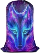 Galaxy Wolf