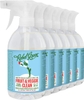 16oz Spray (Pack of 6)