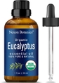 Eucalyptus