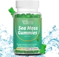 Sea Moss