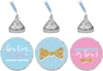 Gender Reveal Bowties Bows