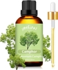 Camphor