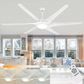 80 Inch Ceiling Fan with Light