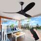 black ceiling fan no light