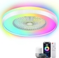 24 Inch RGB Mainlight, Smart Tuya & Silver