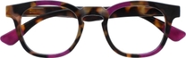 Brown Tortoiseshell With a Touch of Purple