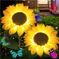 Sunflower-2Pack