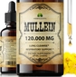 Mullein Leaf 4 Fl Oz