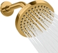 5. Egyptian Gold Shower Head + 6 Inch Shower Arm