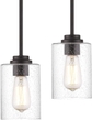 Pendant Light 2PK